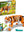 LEGO CREATOR 3 IN 1 31129